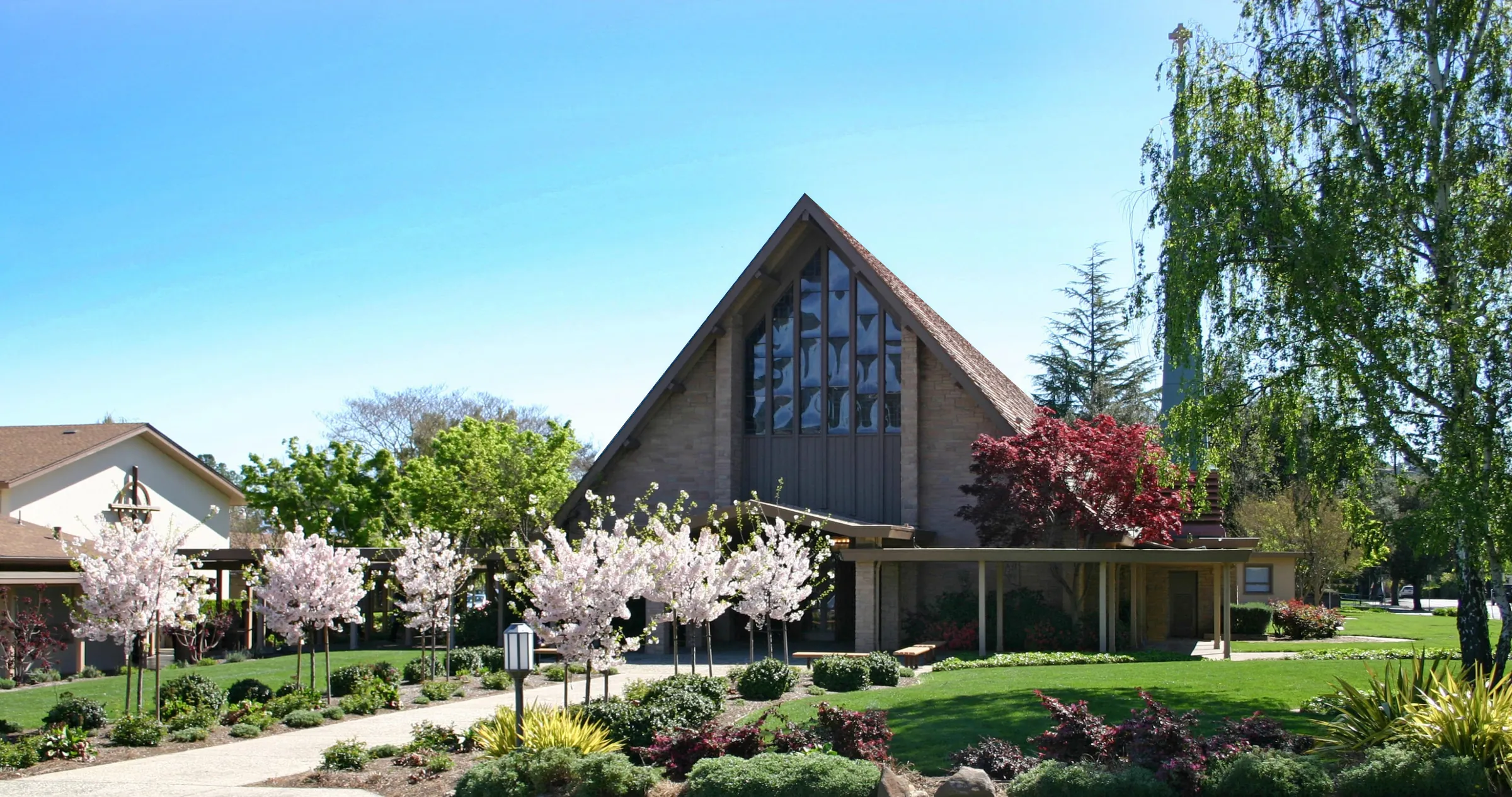 The PCLG sanctuary on Shannon Road, its A-frame roof and stained glass above a garden path of flowering cherry trees.